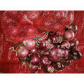 Fresh Best Quality Red Onion 2020